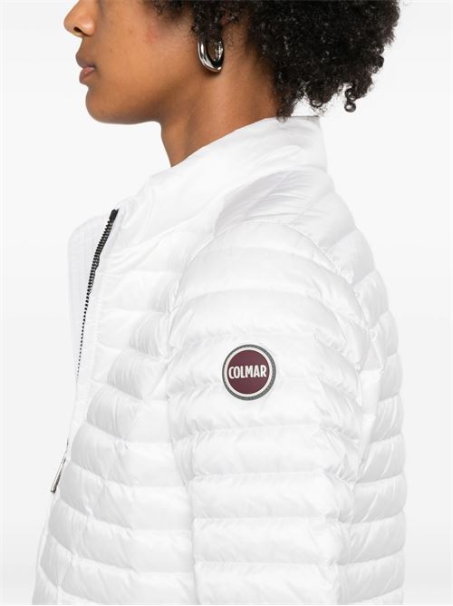  COLMAR | 2214 2YO/01
